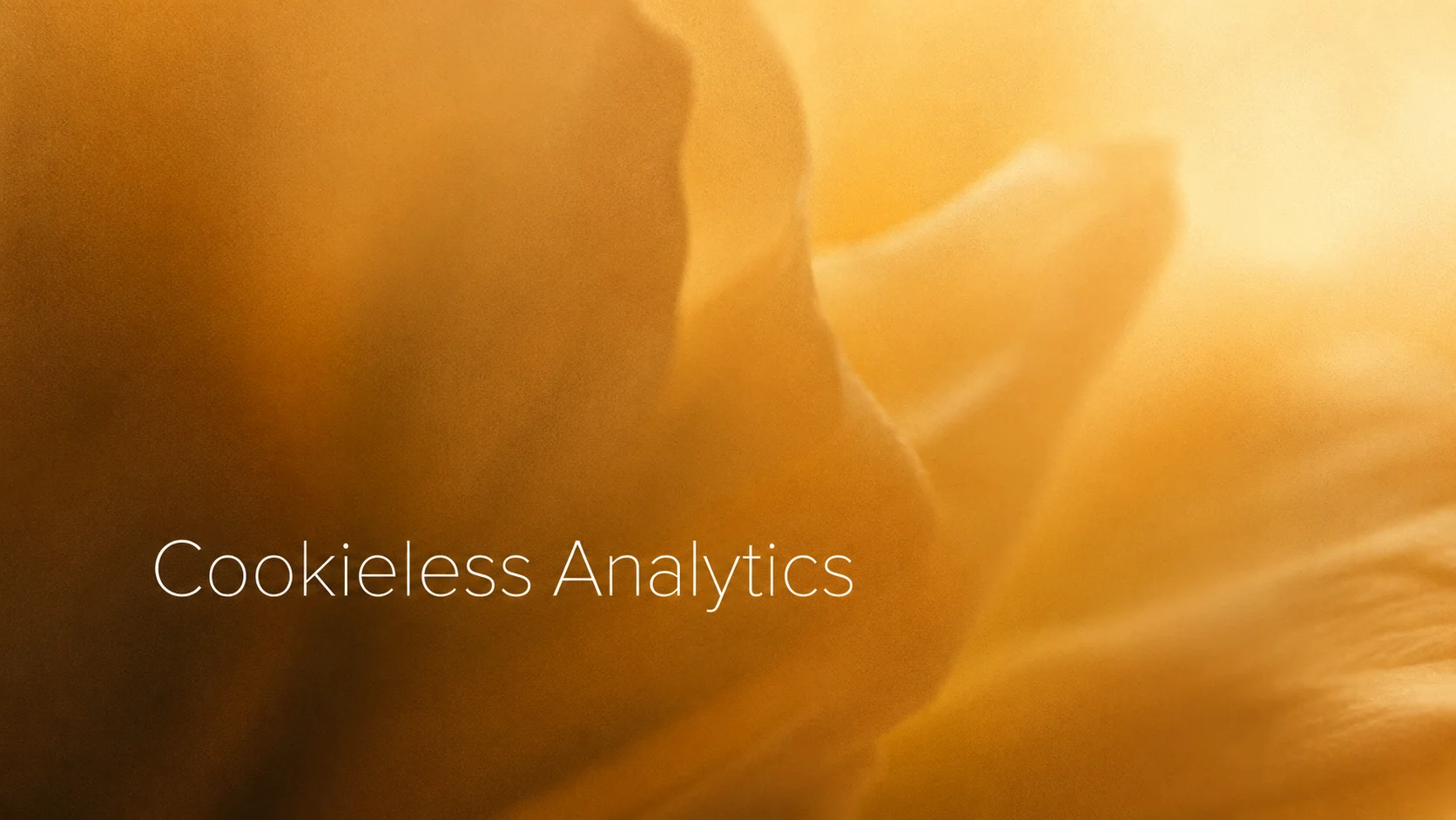 Cookieless Analytics: The Future of Web Tracking
